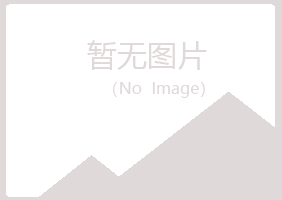 偃师宿命会计有限公司